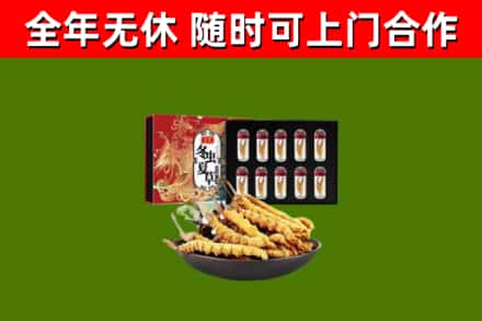 清镇烟酒回收冬虫夏草礼盒.jpg